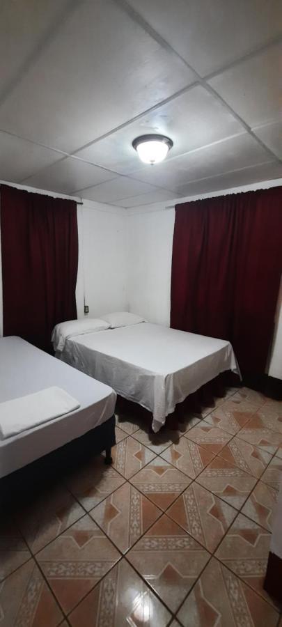 Tropical Dreams Hostel South End Экстерьер фото